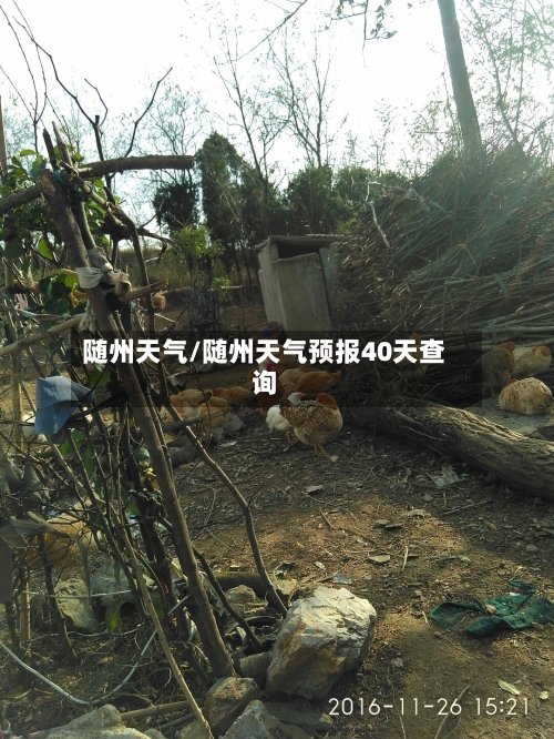 随州天气/随州天气预报40天查询