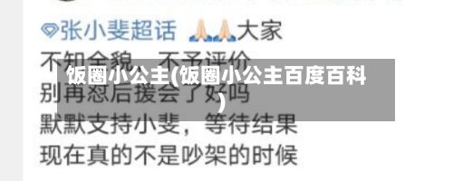 饭圈小公主(饭圈小公主百度百科)-第2张图片