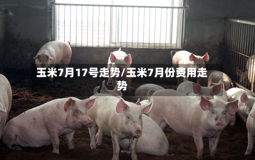 玉米7月17号走势/玉米7月份费用走势-第3张图片