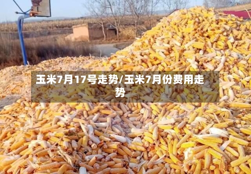 玉米7月17号走势/玉米7月份费用走势