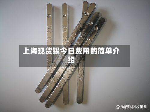 上海现货锡今日费用的简单介绍