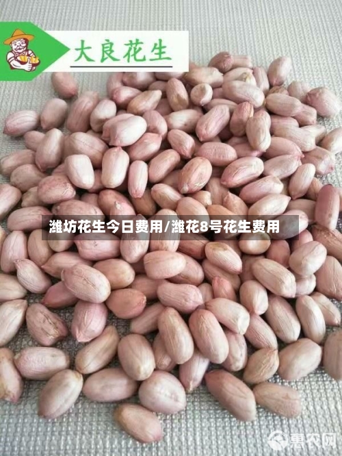潍坊花生今日费用/潍花8号花生费用-第3张图片