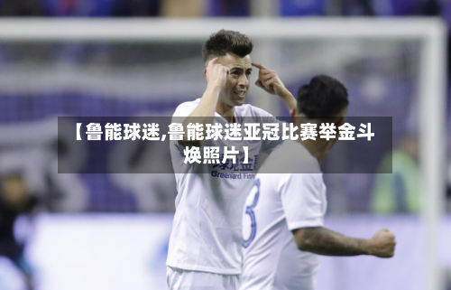 【鲁能球迷,鲁能球迷亚冠比赛举金斗焕照片】-第3张图片