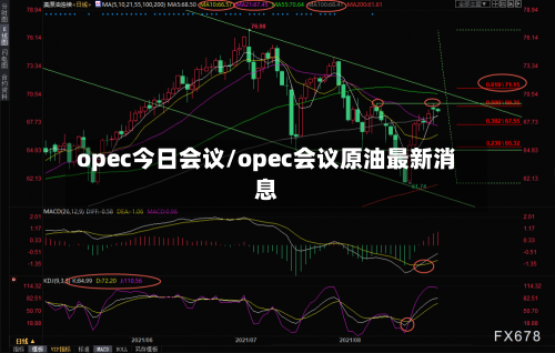 opec今日会议/opec会议原油最新消息-第2张图片