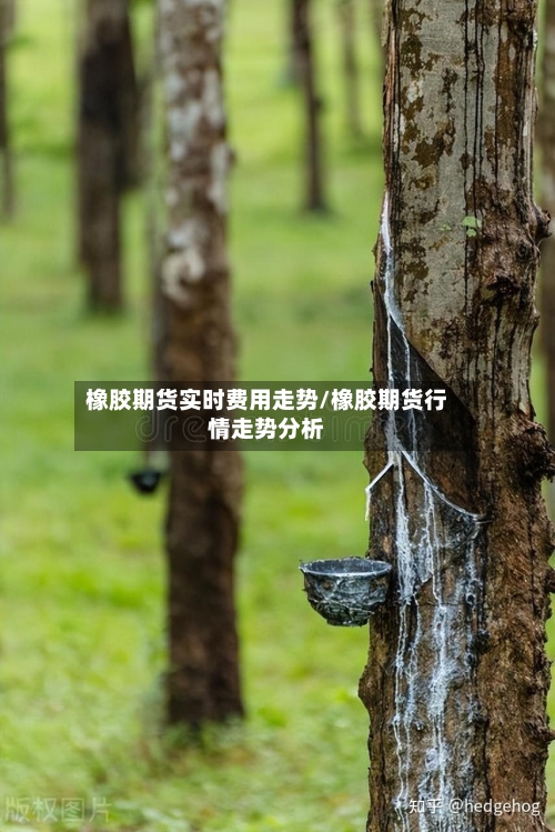 橡胶期货实时费用走势/橡胶期货行情走势分析