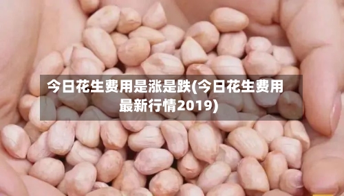 今日花生费用是涨是跌(今日花生费用最新行情2019)-第2张图片