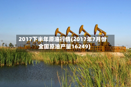 2017下半年原油行情(2017年7月份全国原油产量16249)-第2张图片