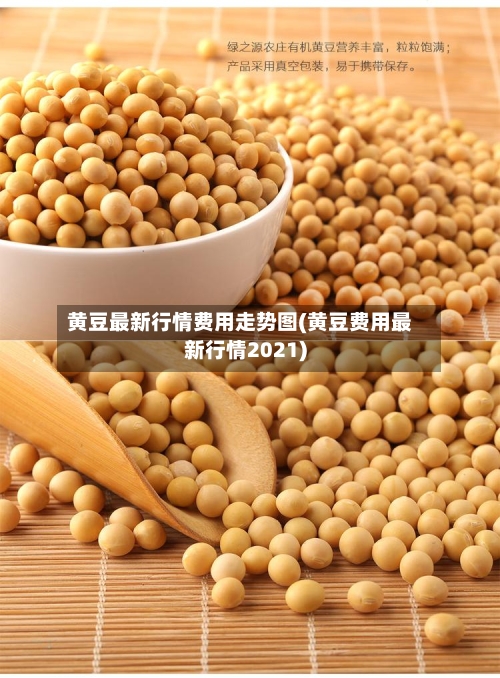 黄豆最新行情费用走势图(黄豆费用最新行情2021)