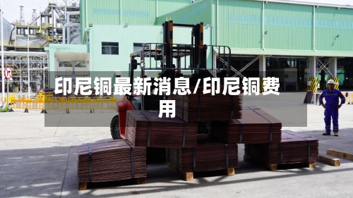 印尼铜最新消息/印尼铜费用-第2张图片