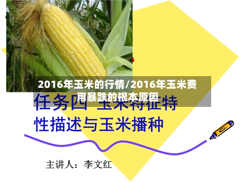 2016年玉米的行情/2016年玉米费用暴跌的根本原因