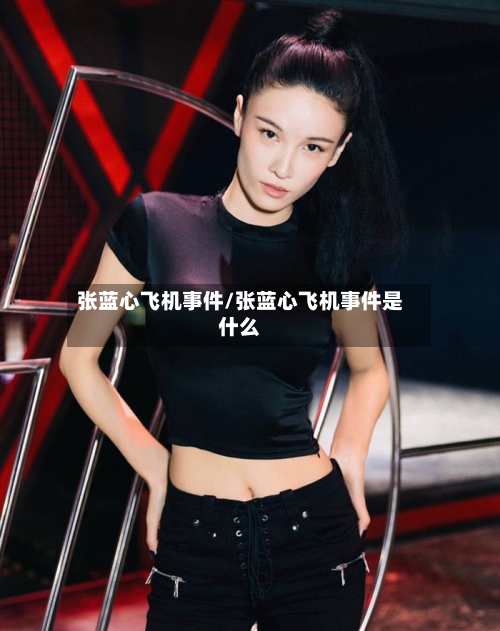 张蓝心飞机事件/张蓝心飞机事件是什么-第3张图片