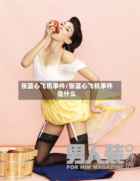 张蓝心飞机事件/张蓝心飞机事件是什么-第2张图片