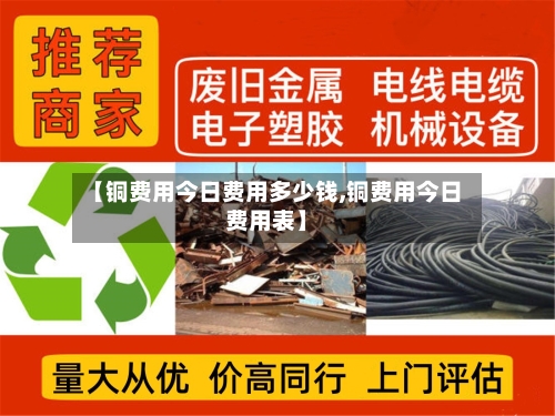 【铜费用今日费用多少钱,铜费用今日费用表】