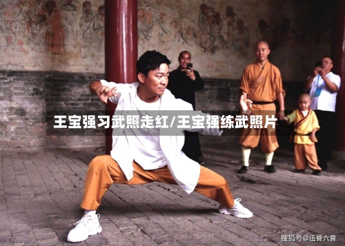王宝强习武照走红/王宝强练武照片-第2张图片