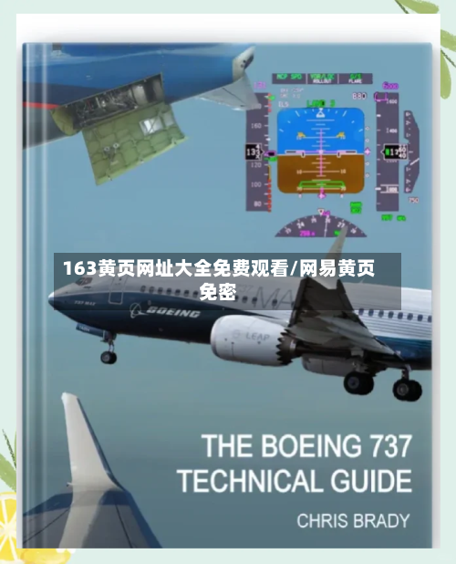 163黄页网址大全免费观看/网易黄页免密-第2张图片