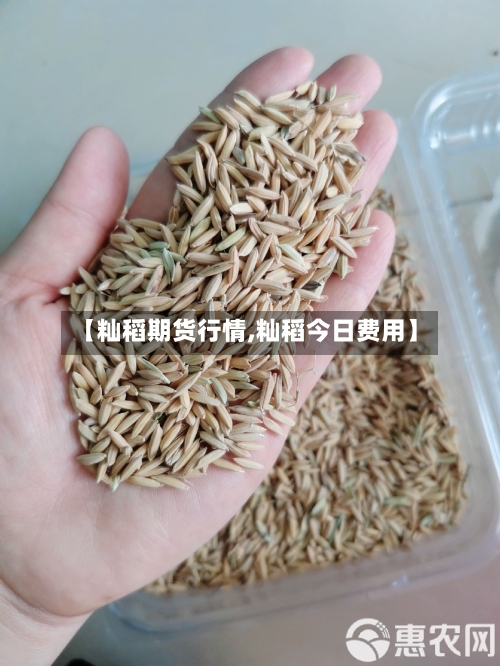 【籼稻期货行情,籼稻今日费用】-第3张图片