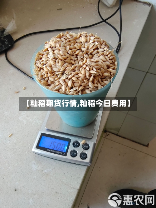 【籼稻期货行情,籼稻今日费用】-第2张图片
