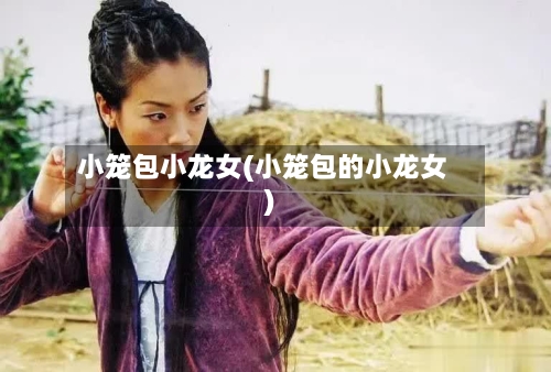 小笼包小龙女(小笼包的小龙女)-第2张图片
