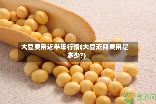 大豆费用近半年行情(大豆近期费用是多少?)