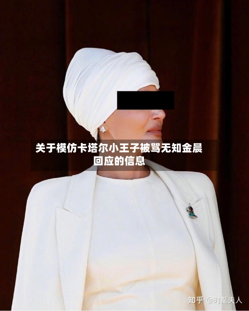 关于模仿卡塔尔小王子被骂无知金晨回应的信息