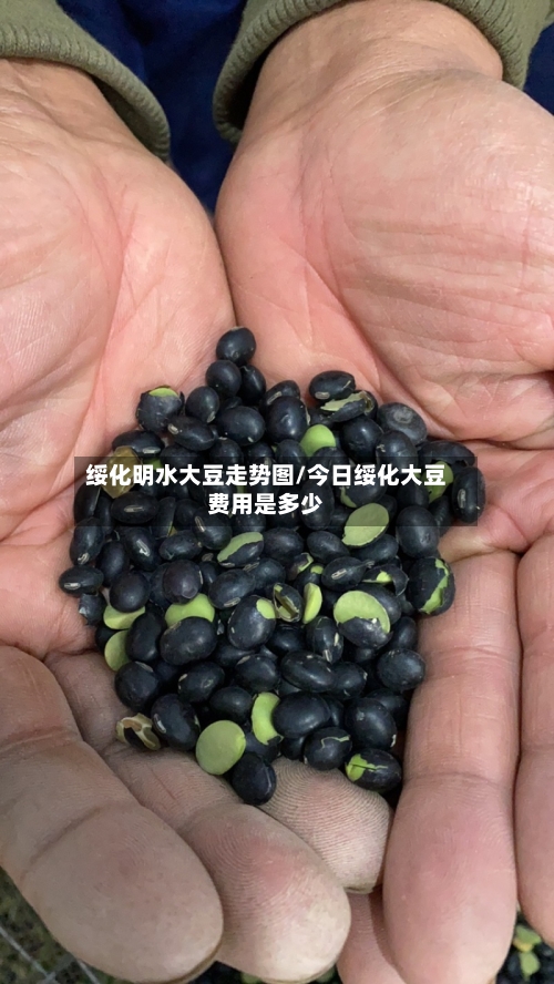 绥化明水大豆走势图/今日绥化大豆费用是多少-第2张图片