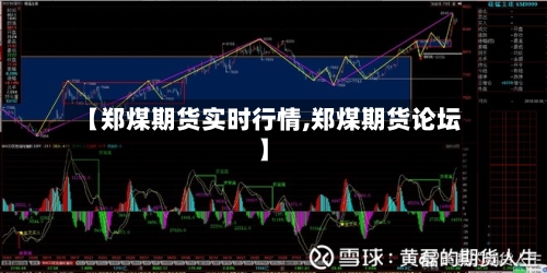【郑煤期货实时行情,郑煤期货论坛】-第2张图片