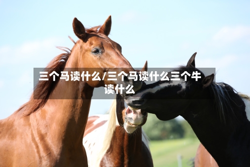 三个马读什么/三个马读什么三个牛读什么-第2张图片