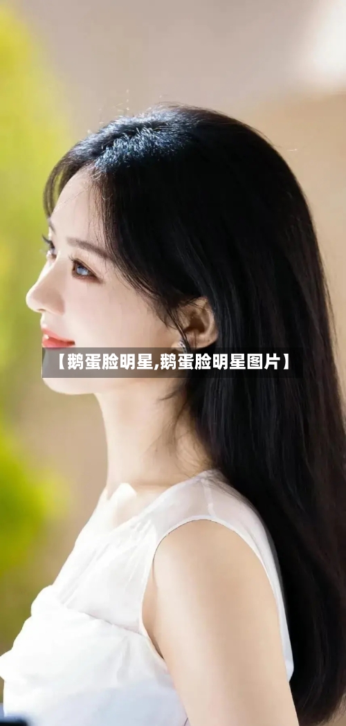 【鹅蛋脸明星,鹅蛋脸明星图片】-第2张图片