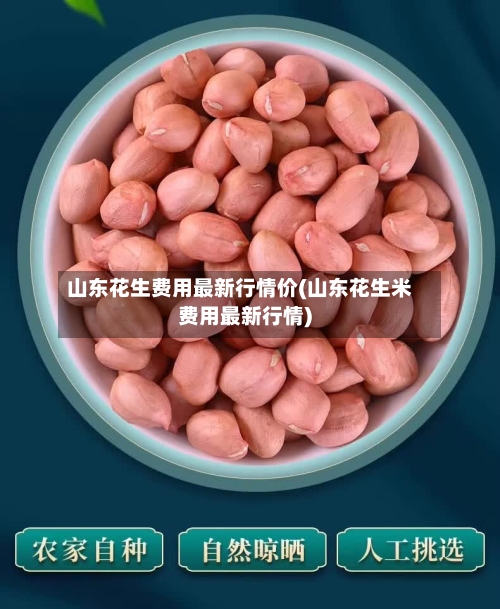 山东花生费用最新行情价(山东花生米费用最新行情)-第3张图片