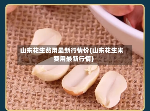 山东花生费用最新行情价(山东花生米费用最新行情)