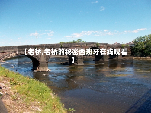 【老桥,老桥的秘密西班牙在线观看】-第2张图片