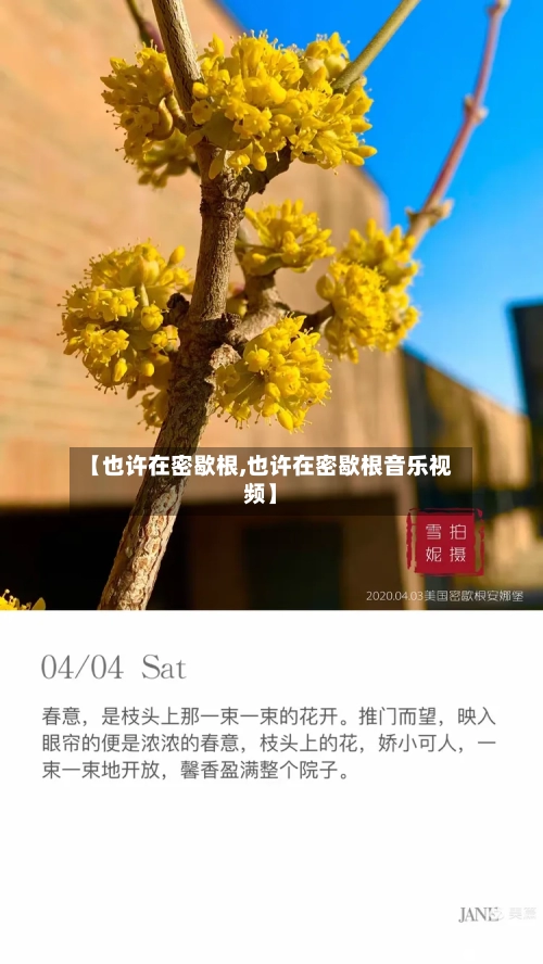 【也许在密歇根,也许在密歇根音乐视频】
