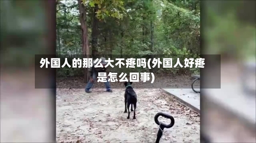 外国人的那么大不疼吗(外国人好疼是怎么回事)