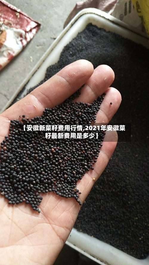 【安徽新菜籽费用行情,2021年安徽菜籽最新费用是多少】