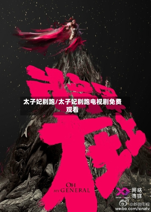 太子妃别跑/太子妃别跑电视剧免费观看