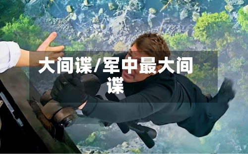 大间谍/军中最大间谍