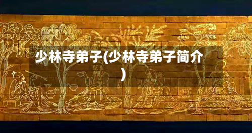少林寺弟子(少林寺弟子简介)-第2张图片
