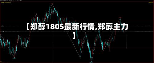 【郑醇1805最新行情,郑醇主力】
