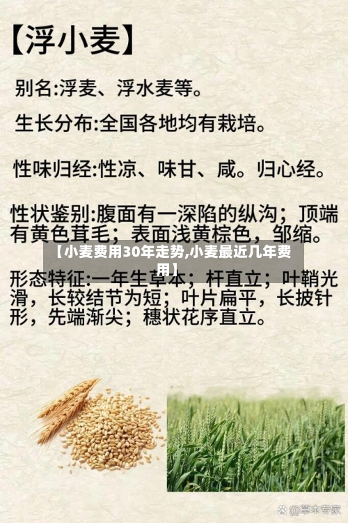 【小麦费用30年走势,小麦最近几年费用】-第2张图片