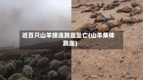 近百只山羊接连跳崖坠亡(山羊集体跳崖)