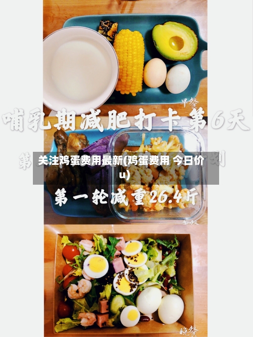 关注鸡蛋费用最新(鸡蛋费用 今日价u)-第2张图片
