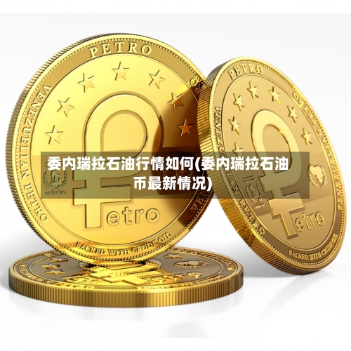 委内瑞拉石油行情如何(委内瑞拉石油币最新情况)-第2张图片