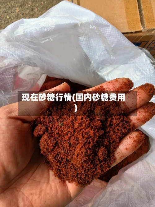 现在砂糖行情(国内砂糖费用)