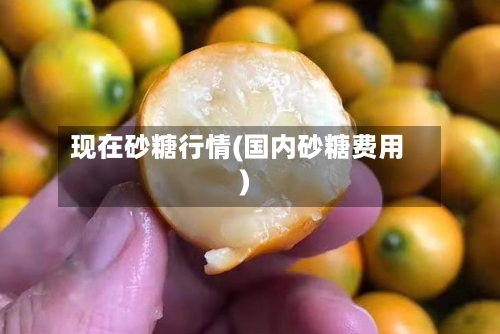 现在砂糖行情(国内砂糖费用)-第2张图片