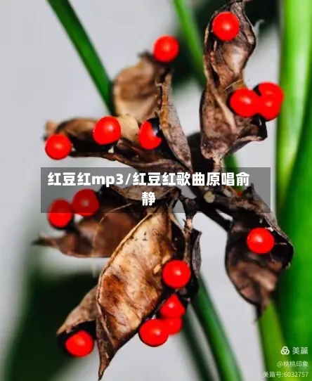 红豆红mp3/红豆红歌曲原唱俞静