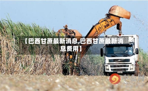 【巴西甘蔗最新消息,巴西甘蔗最新消息费用】-第2张图片