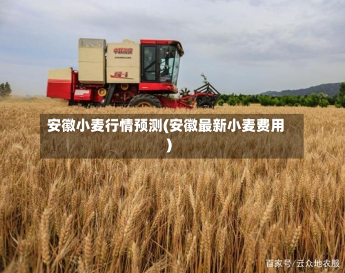 安徽小麦行情预测(安徽最新小麦费用)
