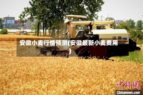 安徽小麦行情预测(安徽最新小麦费用)-第3张图片