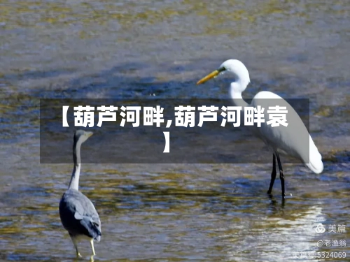 【葫芦河畔,葫芦河畔袁】-第2张图片