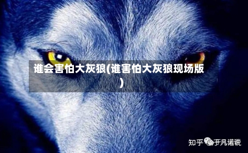 谁会害怕大灰狼(谁害怕大灰狼现场版)-第2张图片